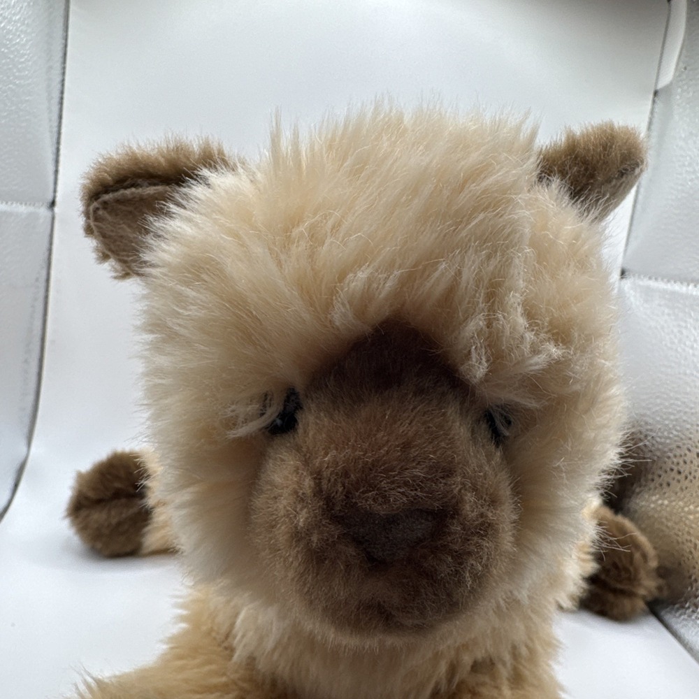 Douglas Cuddle Kitty Cat Siamese Himalayan Stuffed Animal Plush 15" Toy - Picture 2 of 9